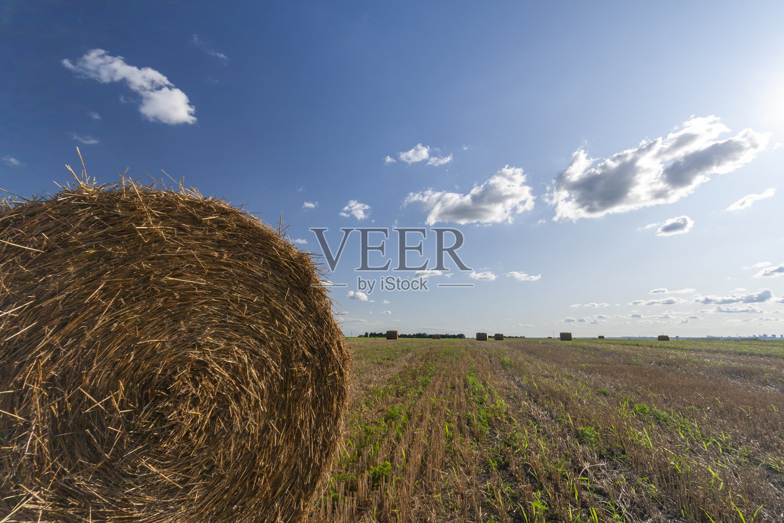 农田里有干草捆和蓝天照片摄影图片
