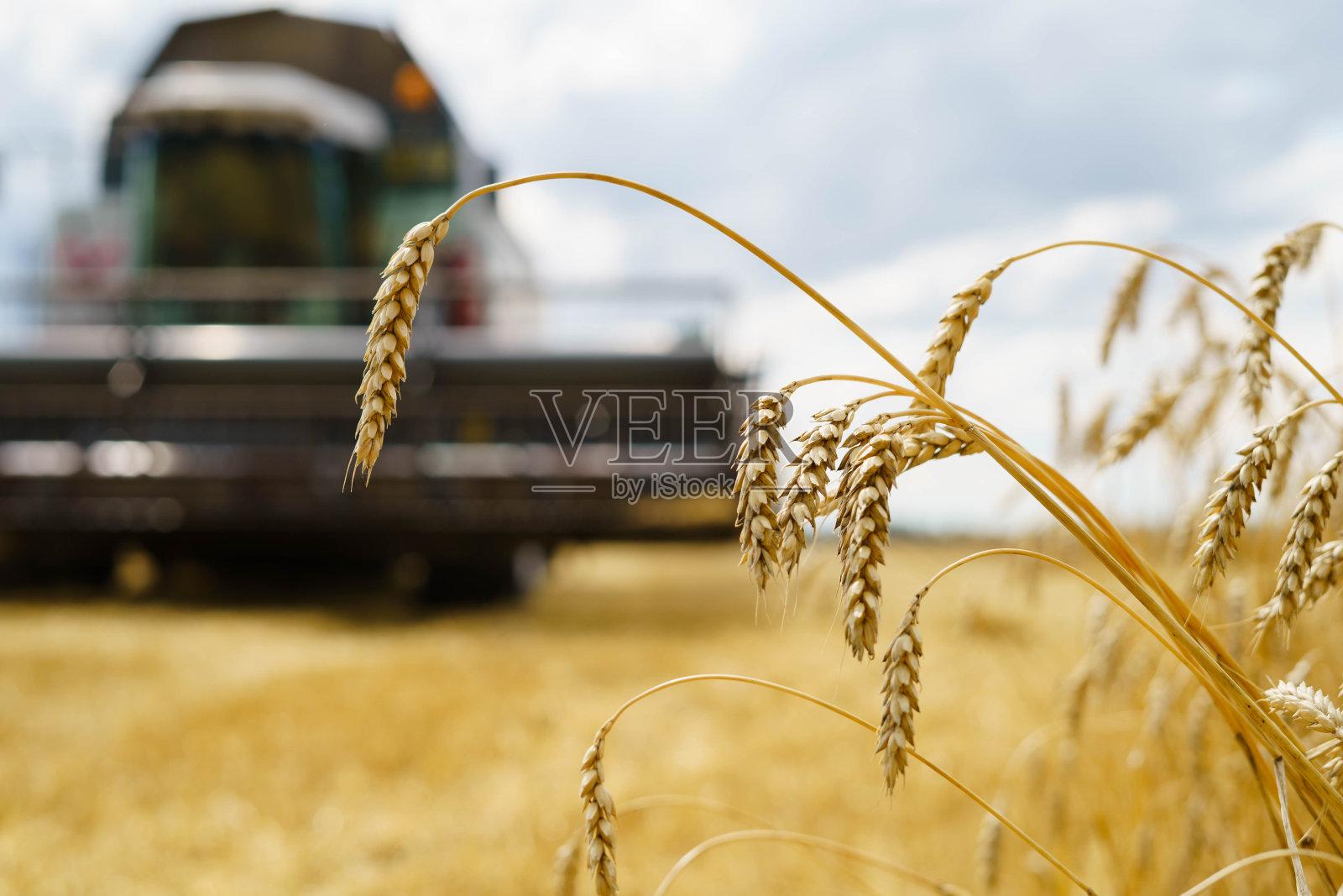 联合收割机农业机械收获金黄成熟的麦田。农业。鸟瞰图。从上面照片摄影图片