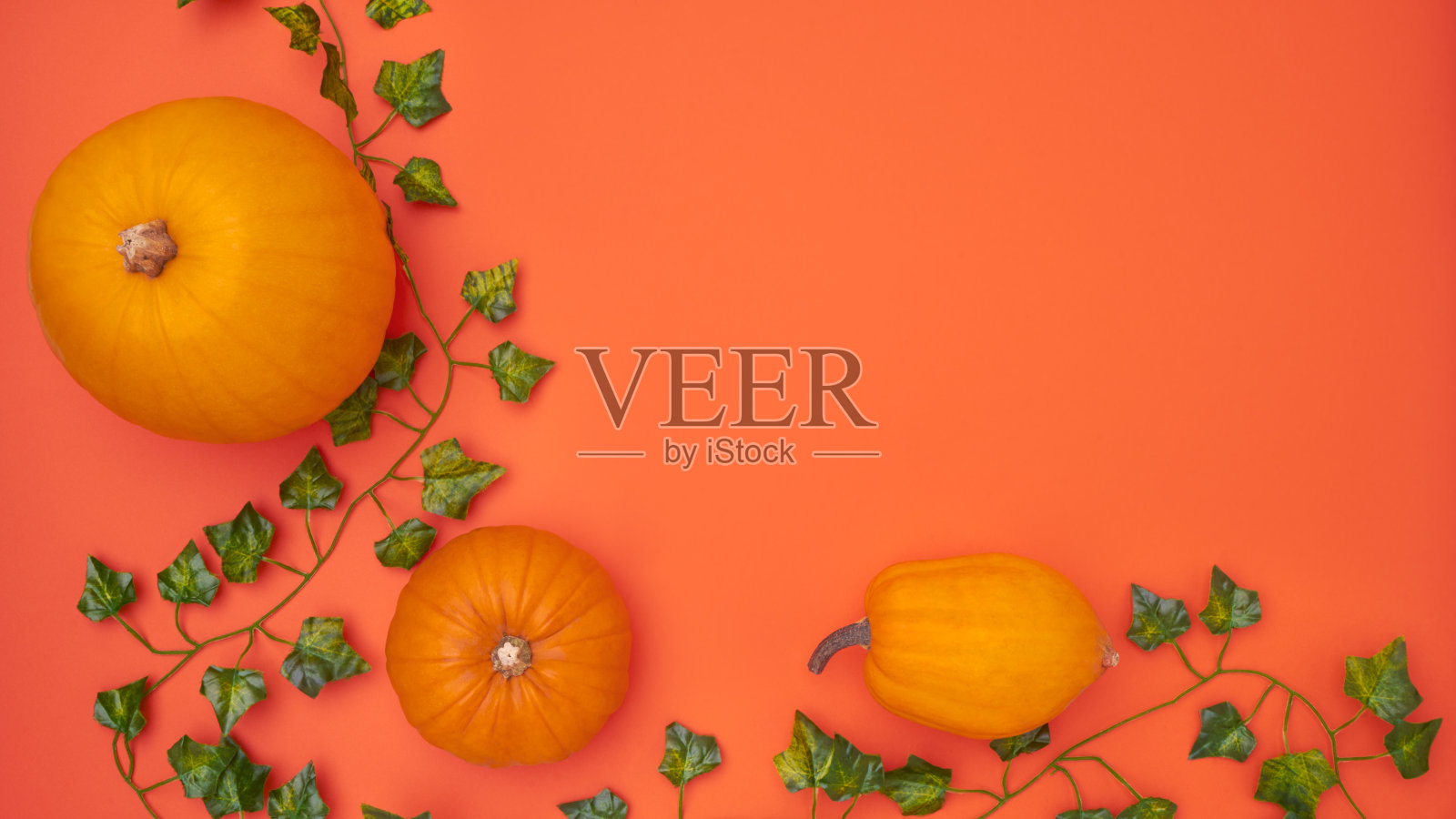头顶上平铺着由南瓜和常青藤叶子组成的橙色背景秋横幅照片摄影图片