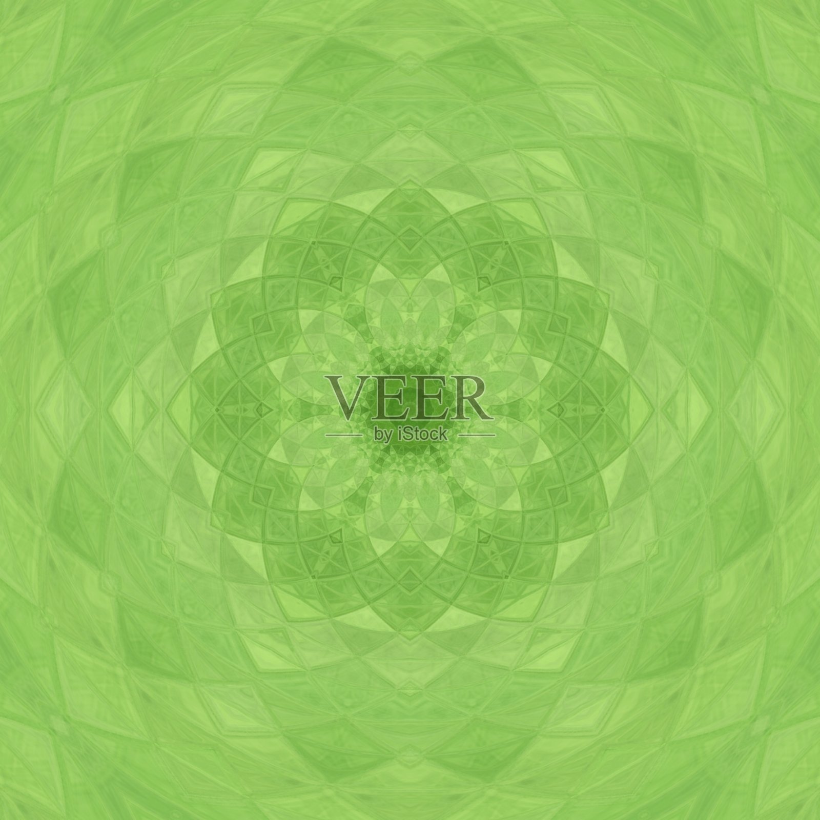 美丽的图案设计插画图片素材