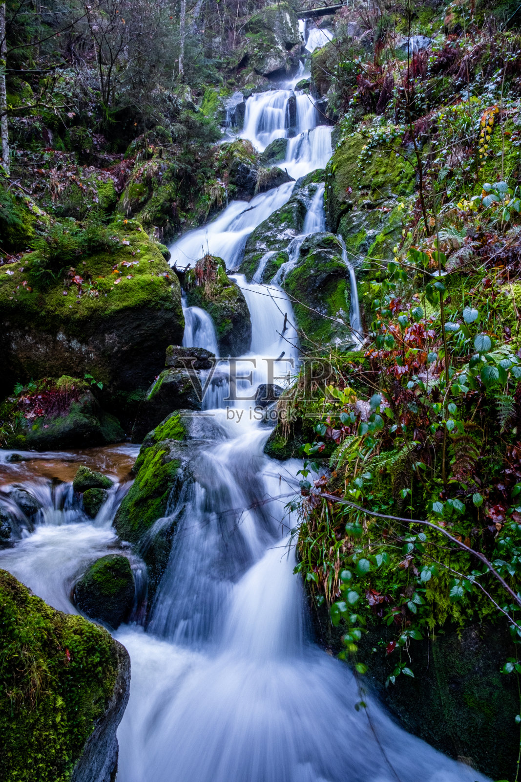 人们徒步旅行，徒步旅行，在一个黑森林，德国，槽瀑布和树木照片摄影图片