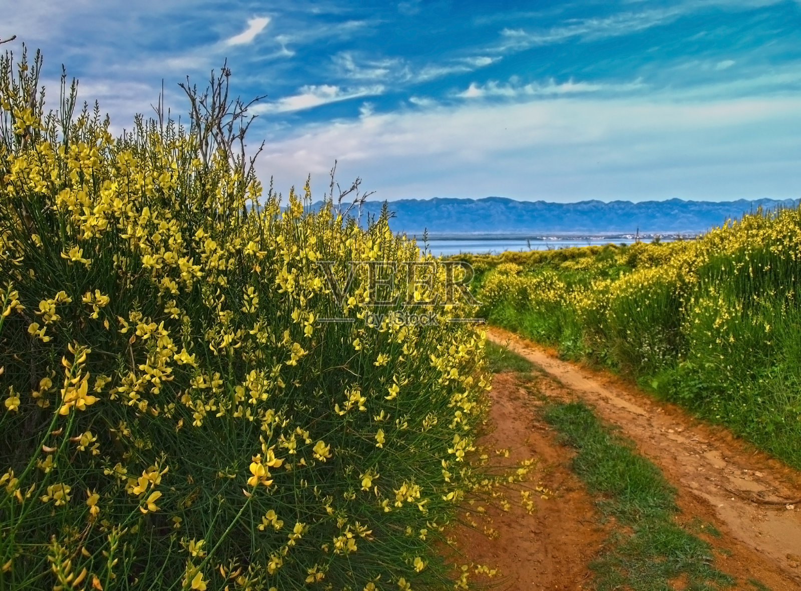 春天在达尔马提亚照片摄影图片