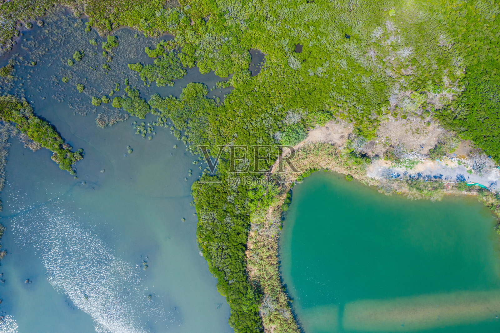 鸟瞰香港边境的鱼塘照片摄影图片