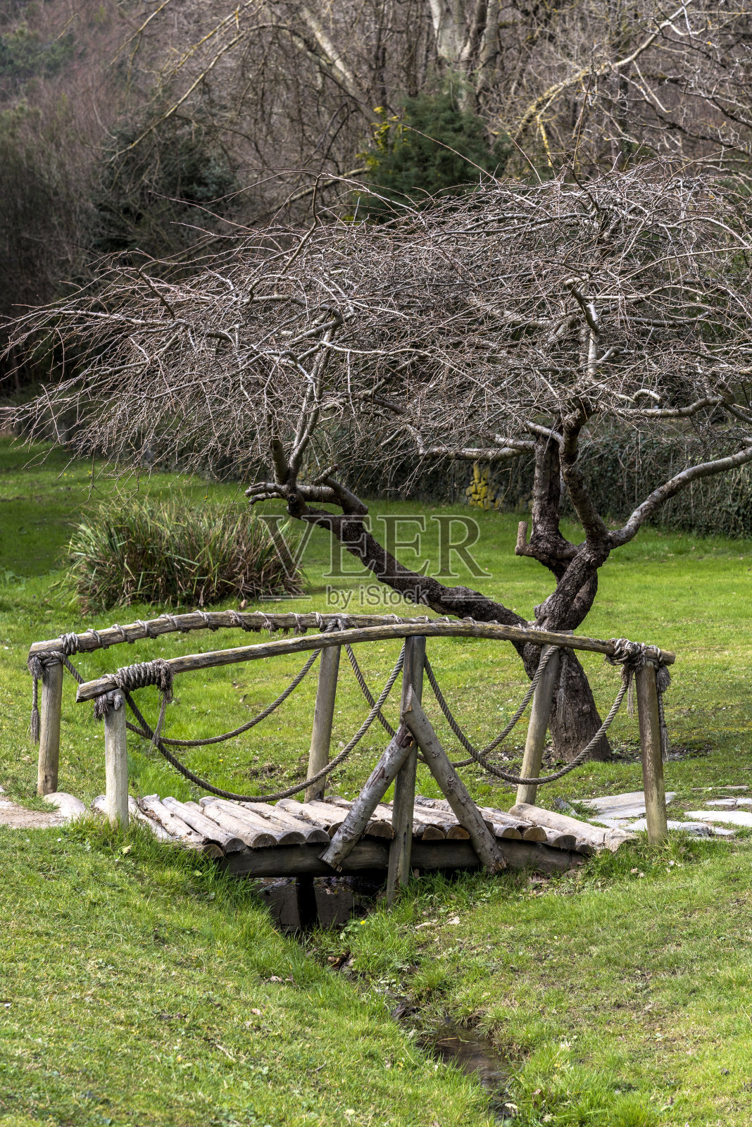 土耳其阿塔图尔克植物园草地上的手工木制拱形老小桥照片摄影图片