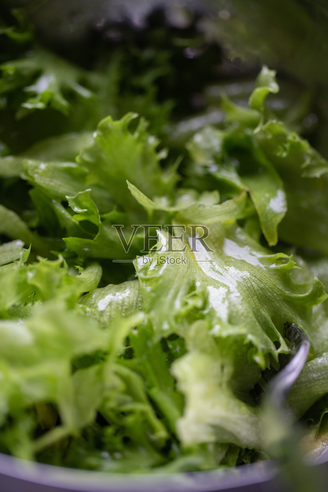 切碎的卷心莴苣照片摄影图片