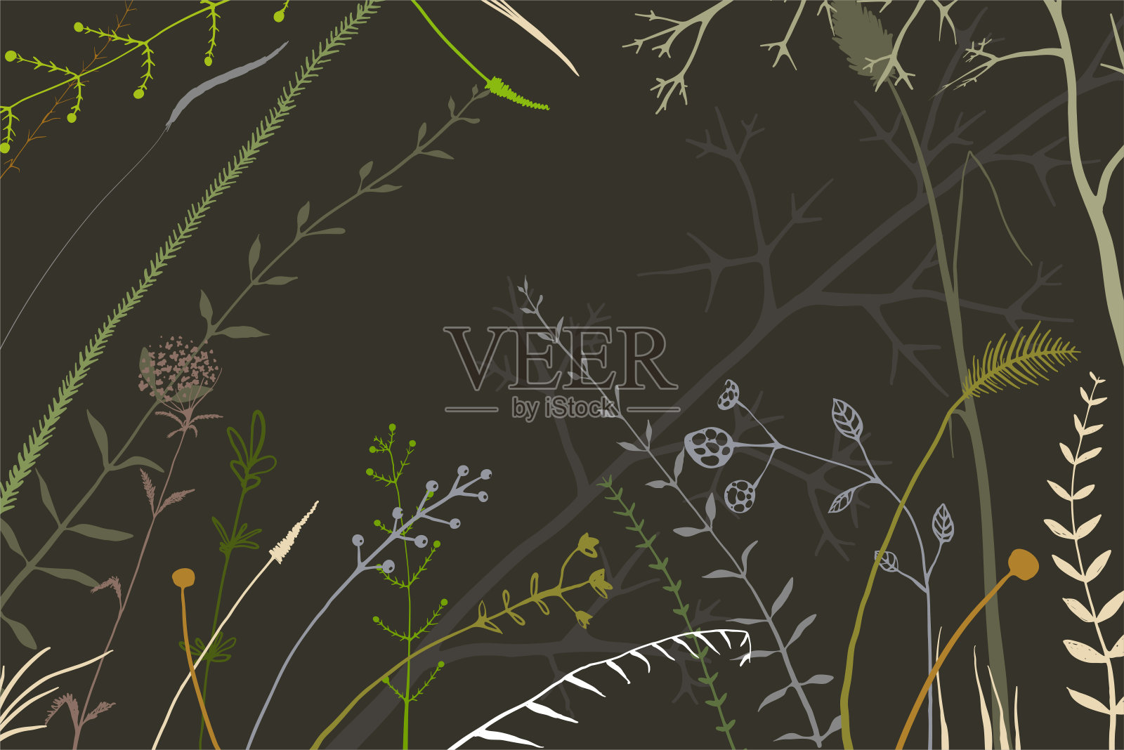 手绘随机香草和野生草甸野生草安排在黑色的背景。传单，邀请或包装设计的背景。插画图片素材