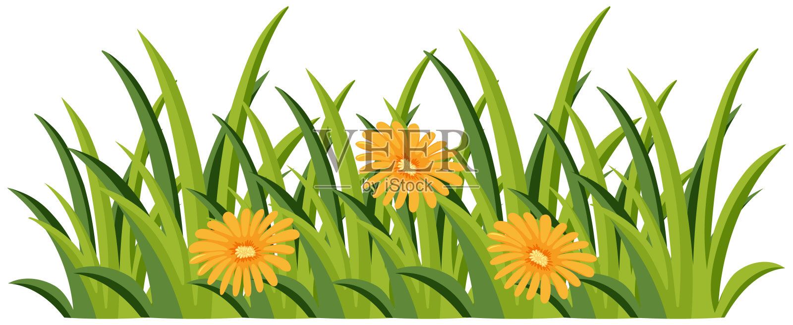 白色背景上有黄色花的灌木插画图片素材