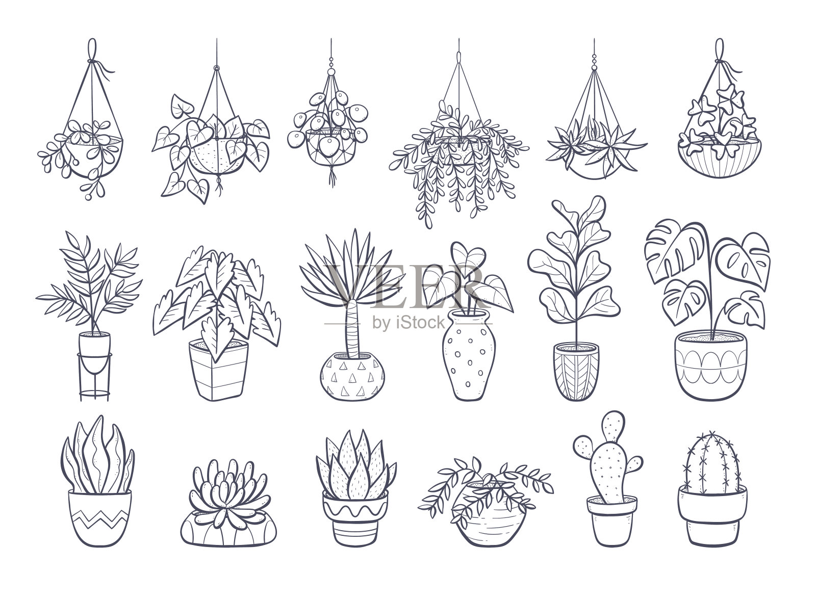 室内植物涂鸦收藏插画图片素材