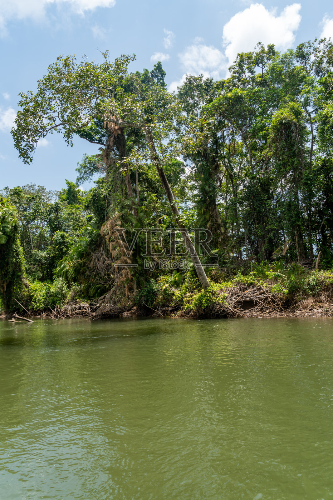 澳大利亚昆士兰丹特里河之旅照片摄影图片