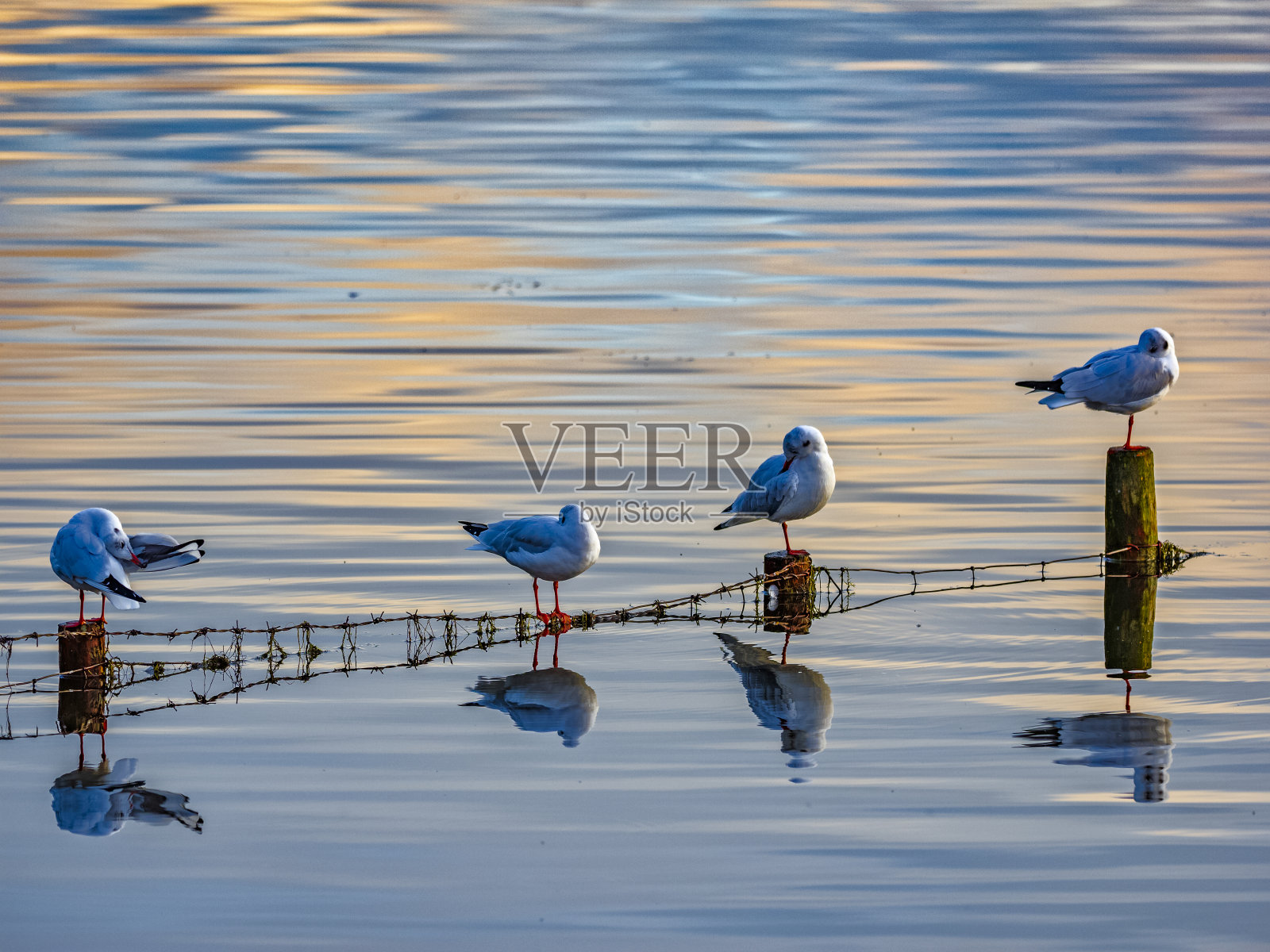 英国的湖区地区照片摄影图片