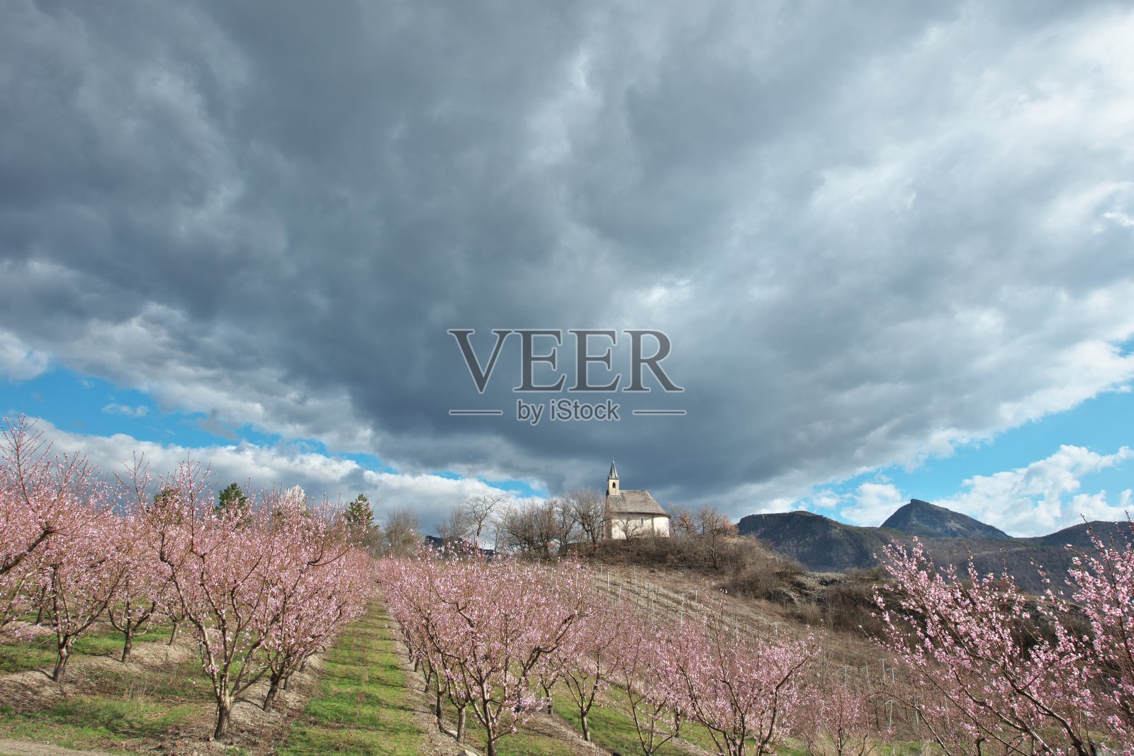 圣罗克小教堂的果园照片摄影图片