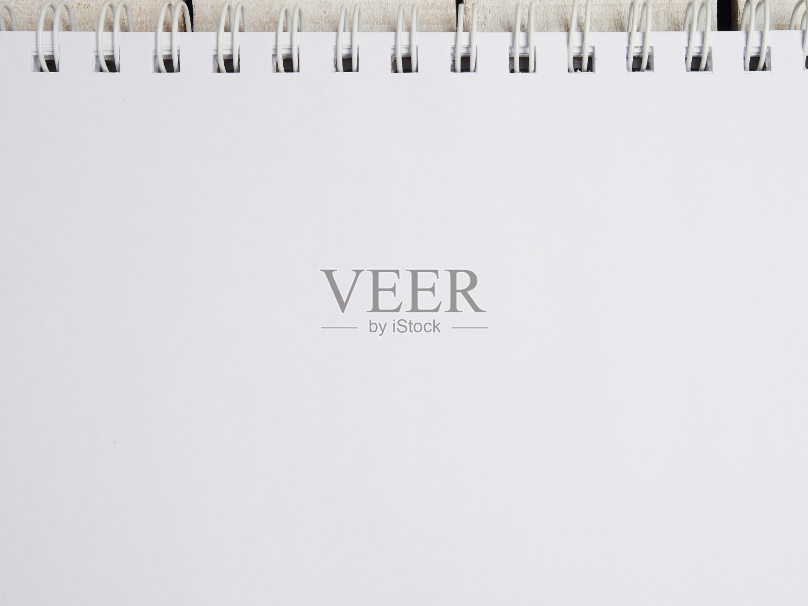 前视图。工作空间。平的。多汁的在一个白色深红色的罐子里特写。打开笔记本或薄页记事本。副本的空间。文本。有选择性的重点照片摄影图片