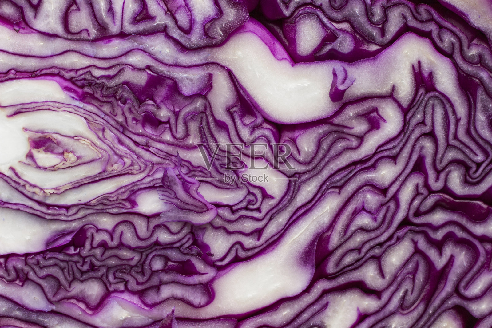 红白菜切片接近。自然的纹理照片摄影图片