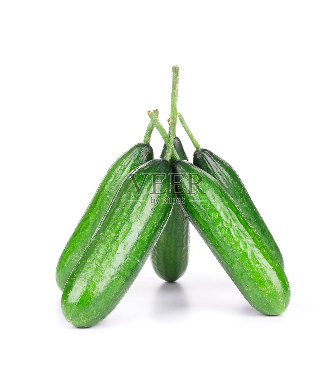 鲜黄瓜小屋。照片摄影图片