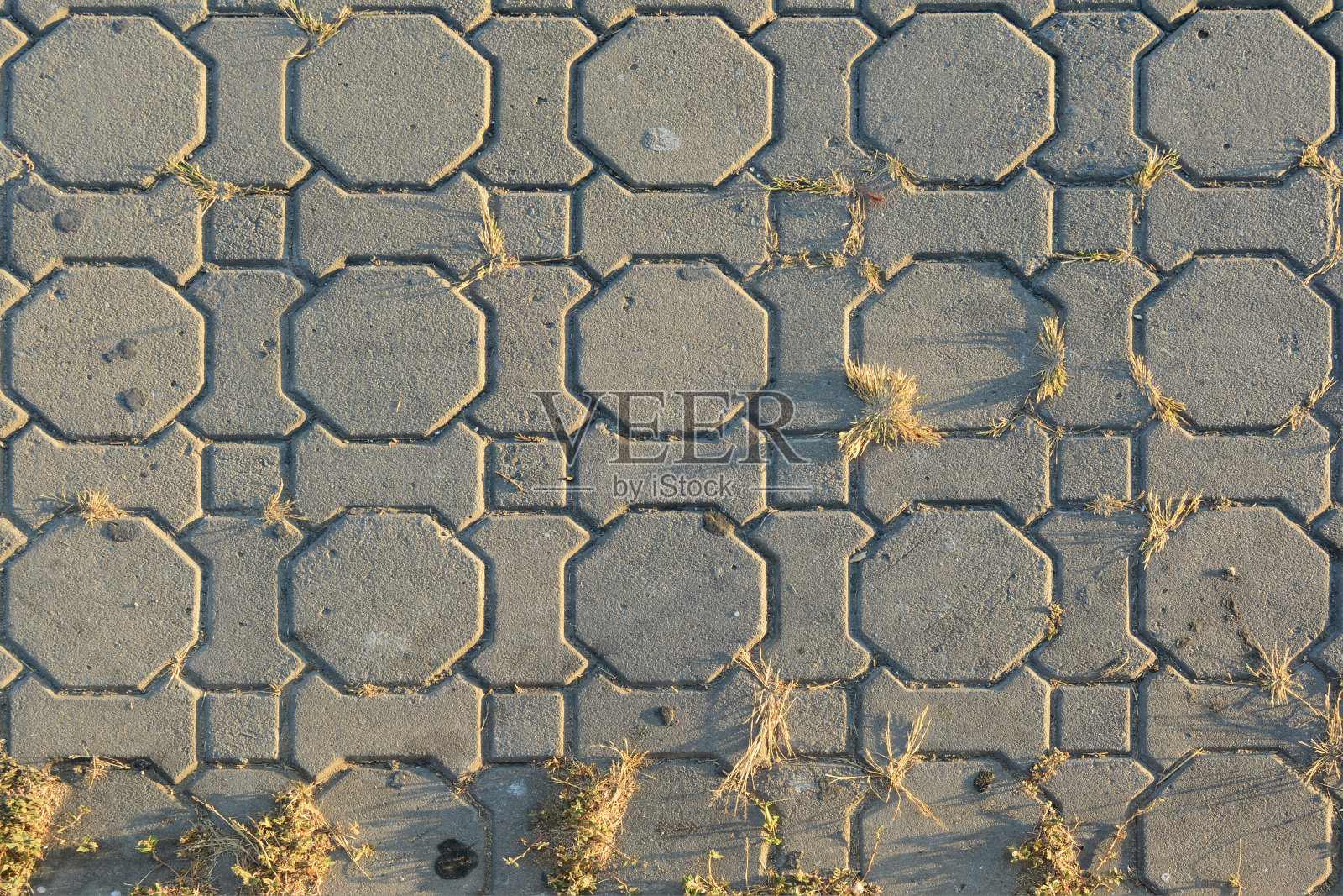 背景是灰色的水泥砖和小的干草和傍晚的阳光照片摄影图片