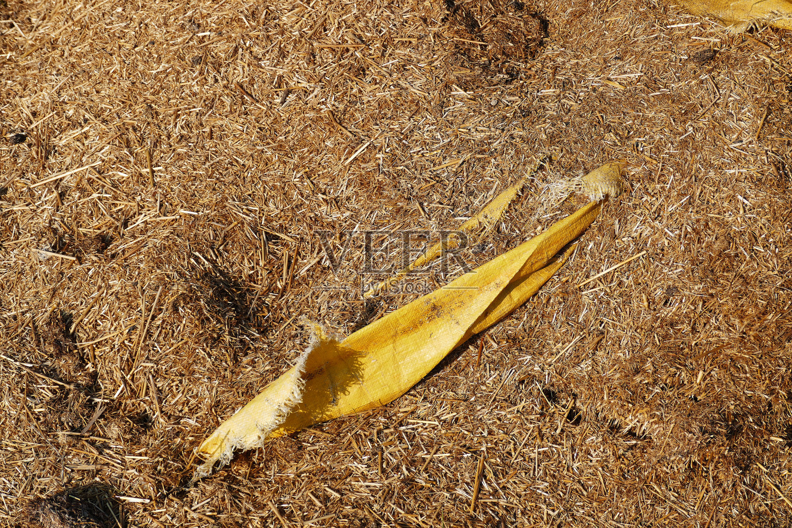 人们污染他们居住的环境，腐烂的秸秆残留物，照片摄影图片