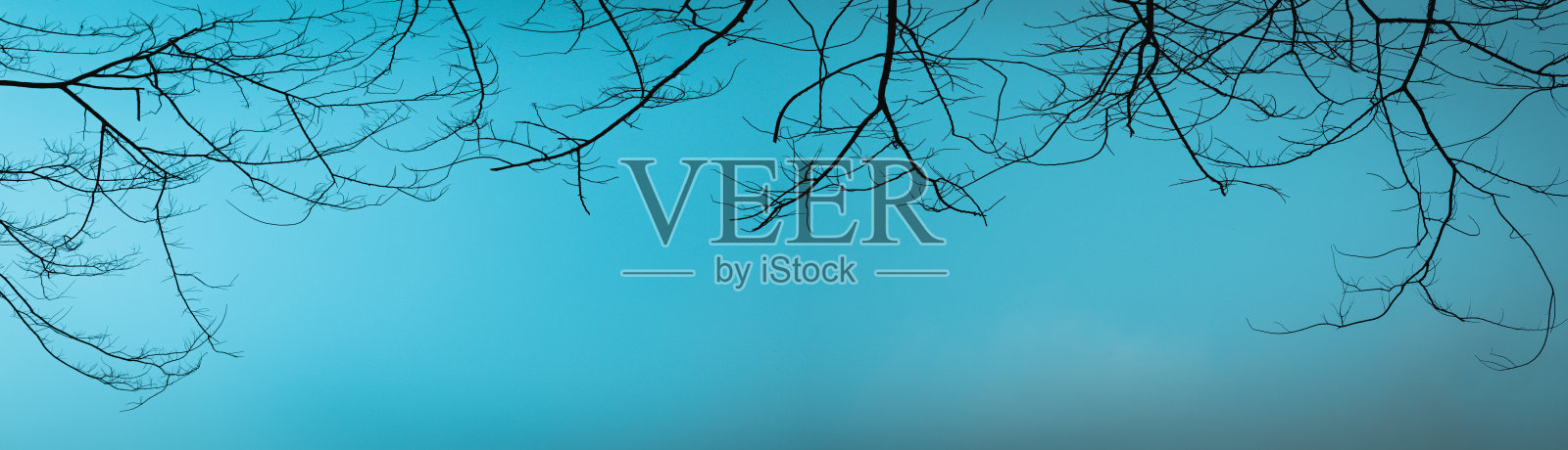 天空背景上的干树枝框架。照片摄影图片