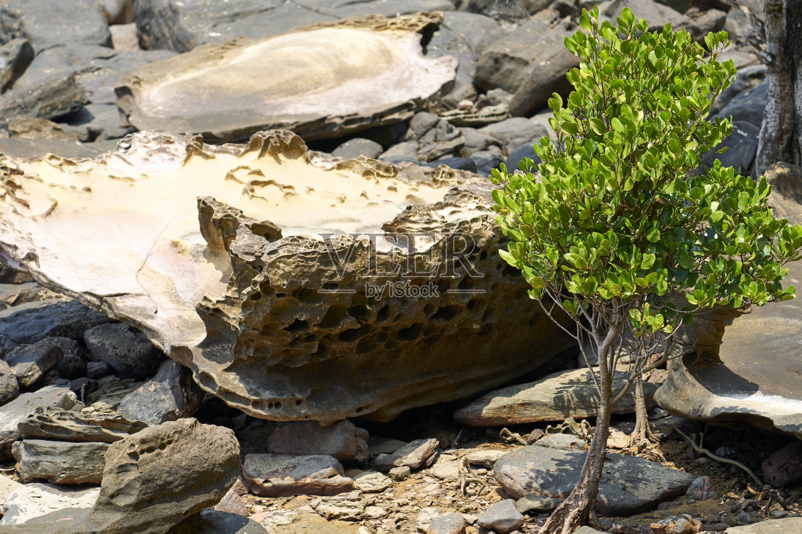 泰国美丽的海滩风景。照片摄影图片