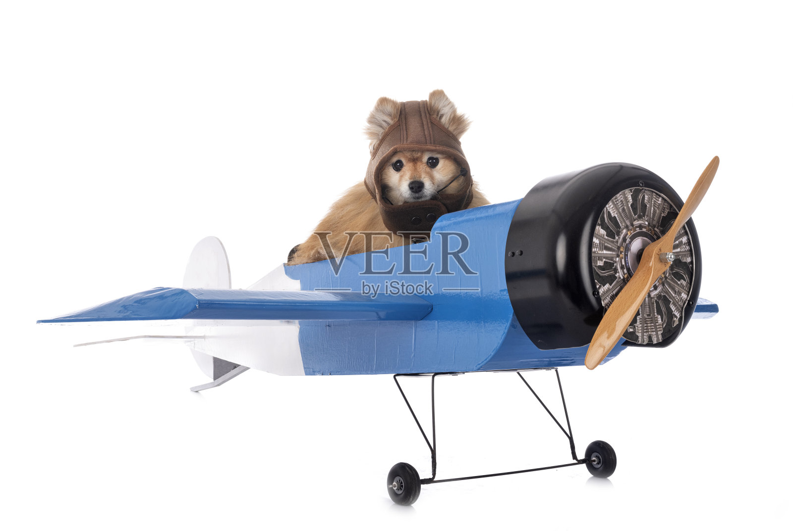 施皮茨和飞机照片摄影图片