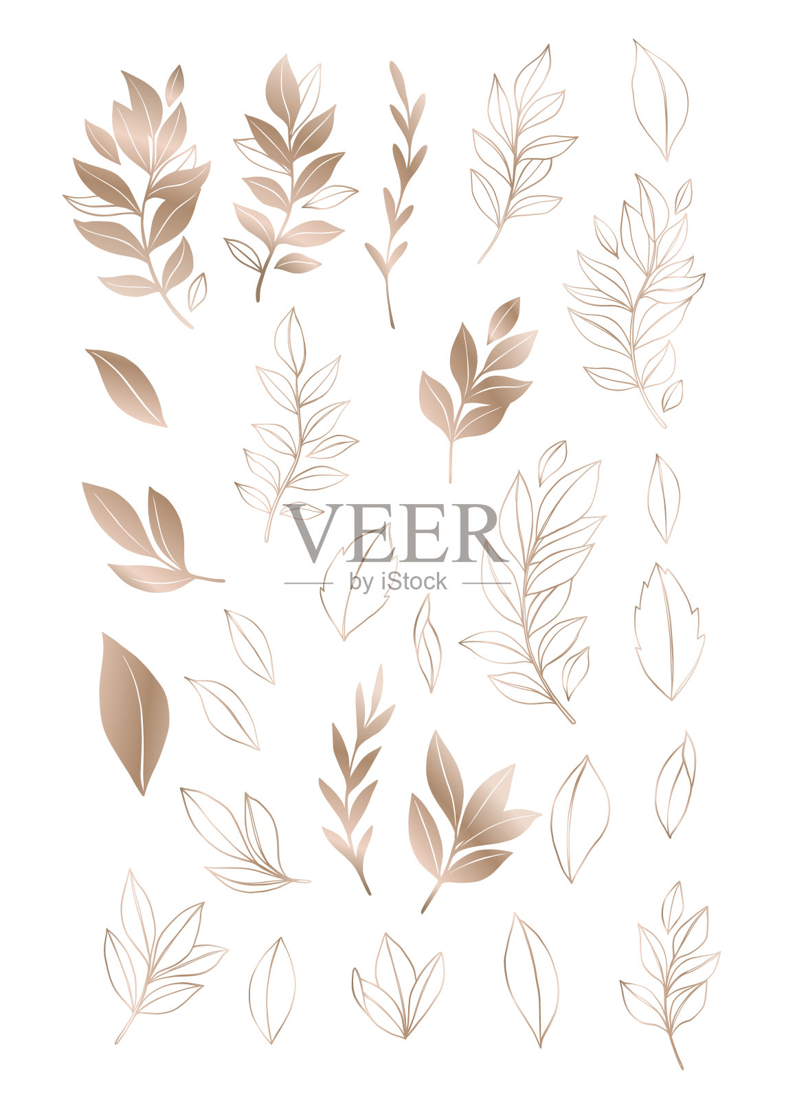 新潮的向量树叶素描在线性风格。手绘绿色植物树枝和树叶的金色元素。线和轮廓。完美的商标为您的品牌:包装，化妆品，珠宝，商店，杂志插画图片素材