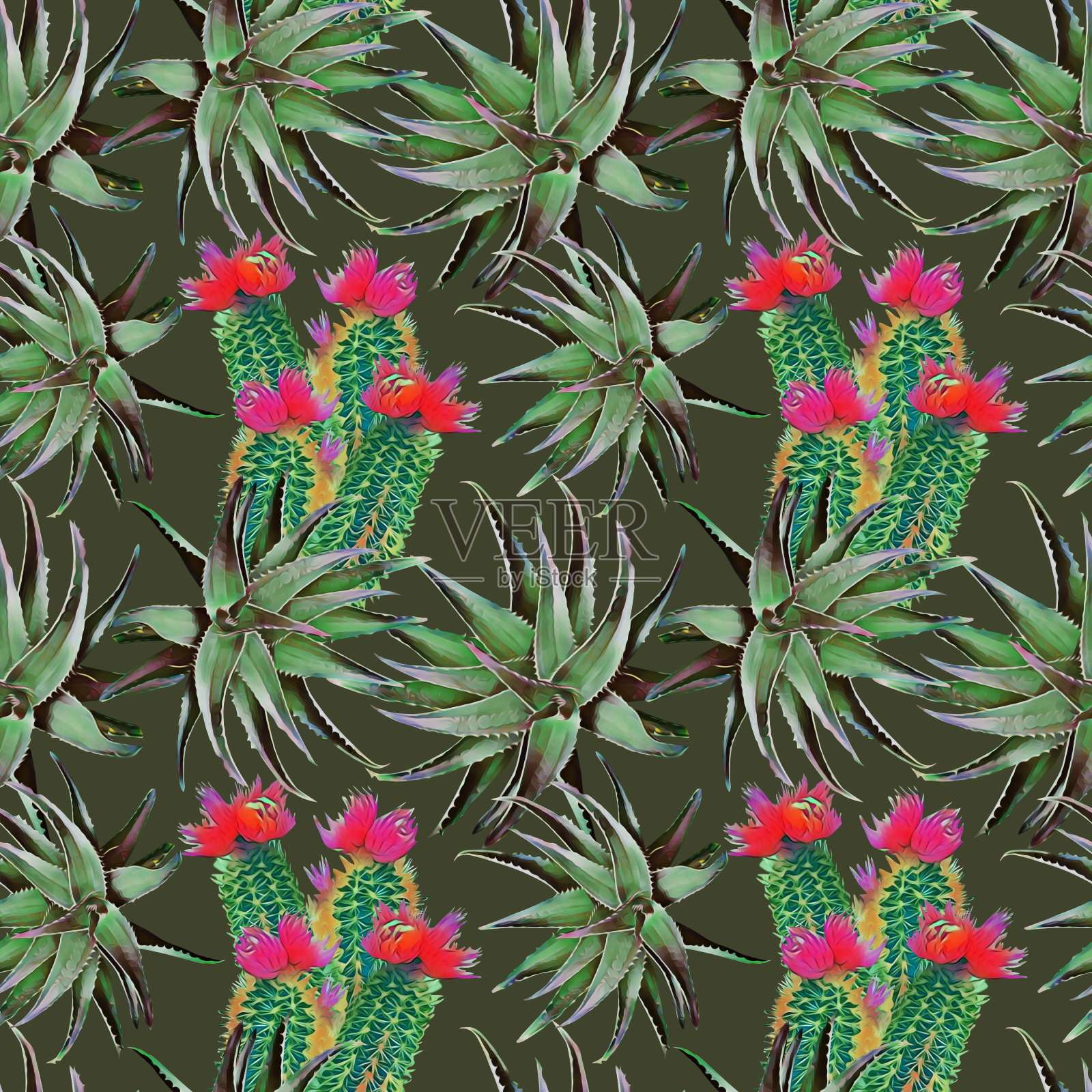 仙人掌和芦荟，无缝图案。插画图片素材