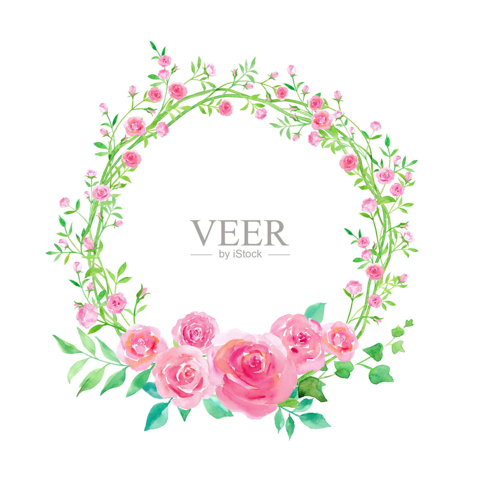 小玫瑰藤型圆形装饰框水彩插图插画图片素材