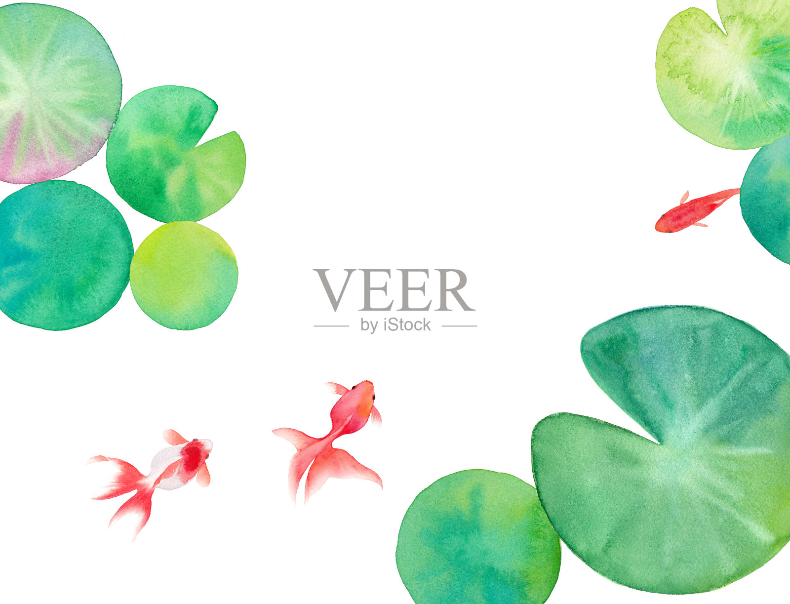 夏季图像背景由金鱼和睡莲的叶子组成，水彩插图插画图片素材