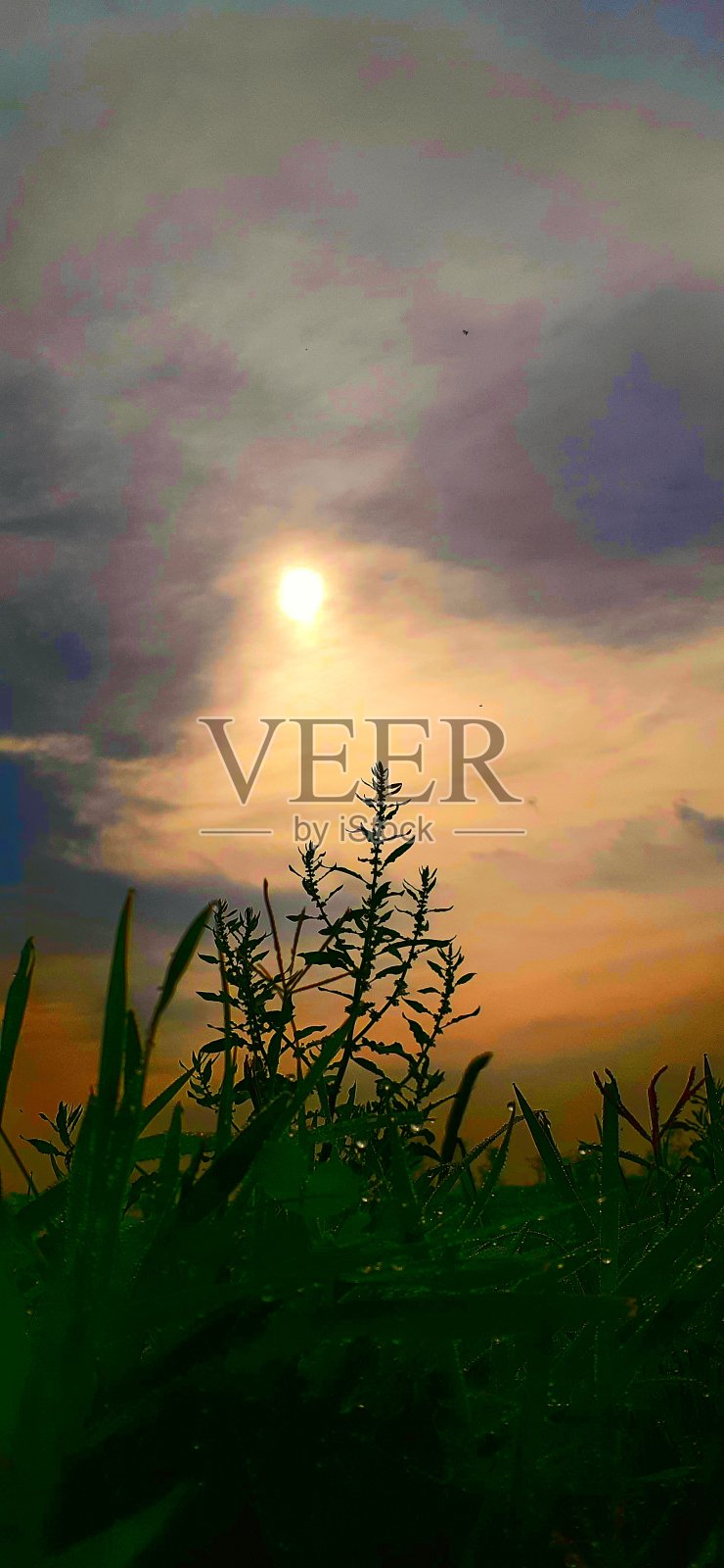 早晨美丽的自然景色和阳光。照片摄影图片