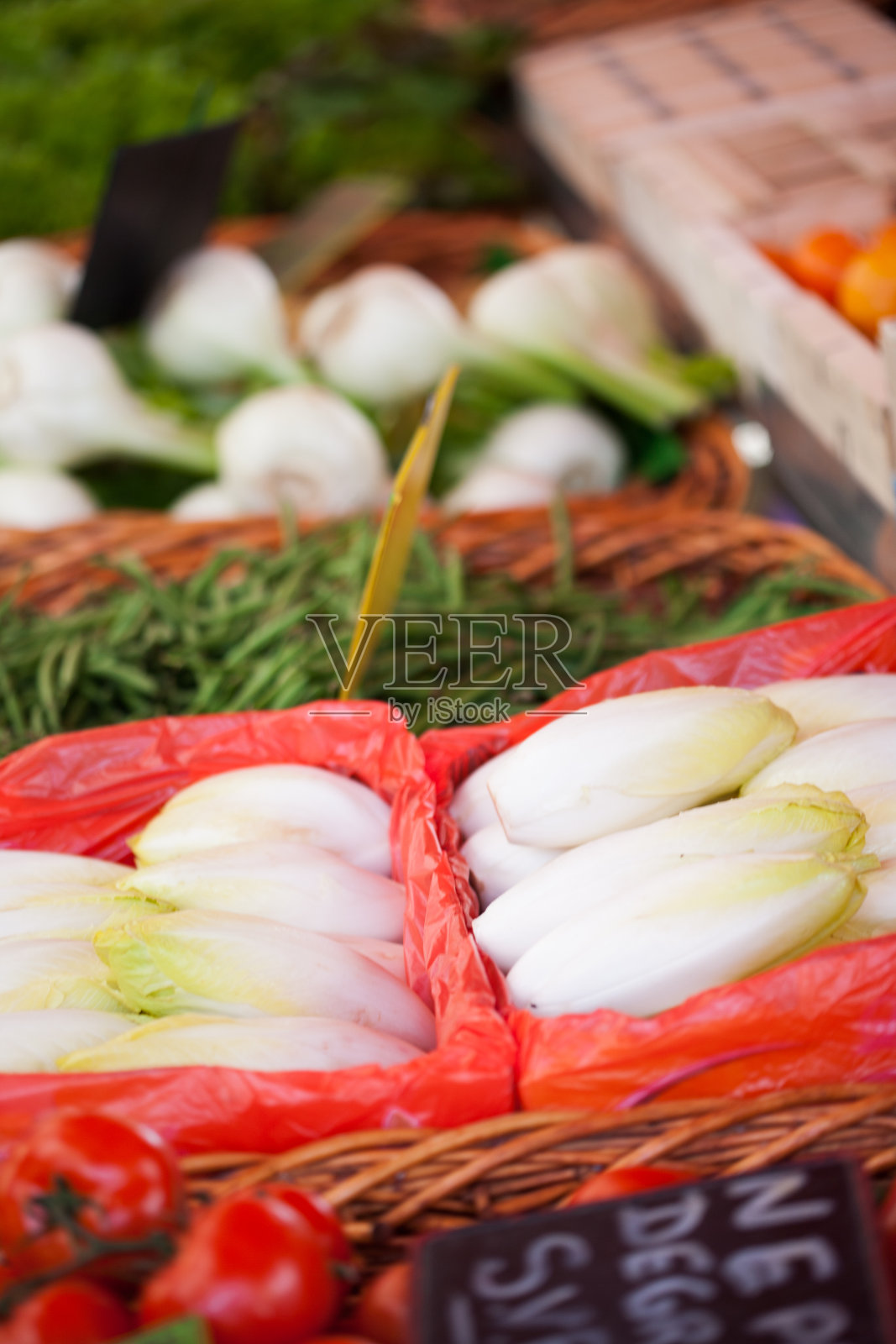 盘菊苣照片摄影图片