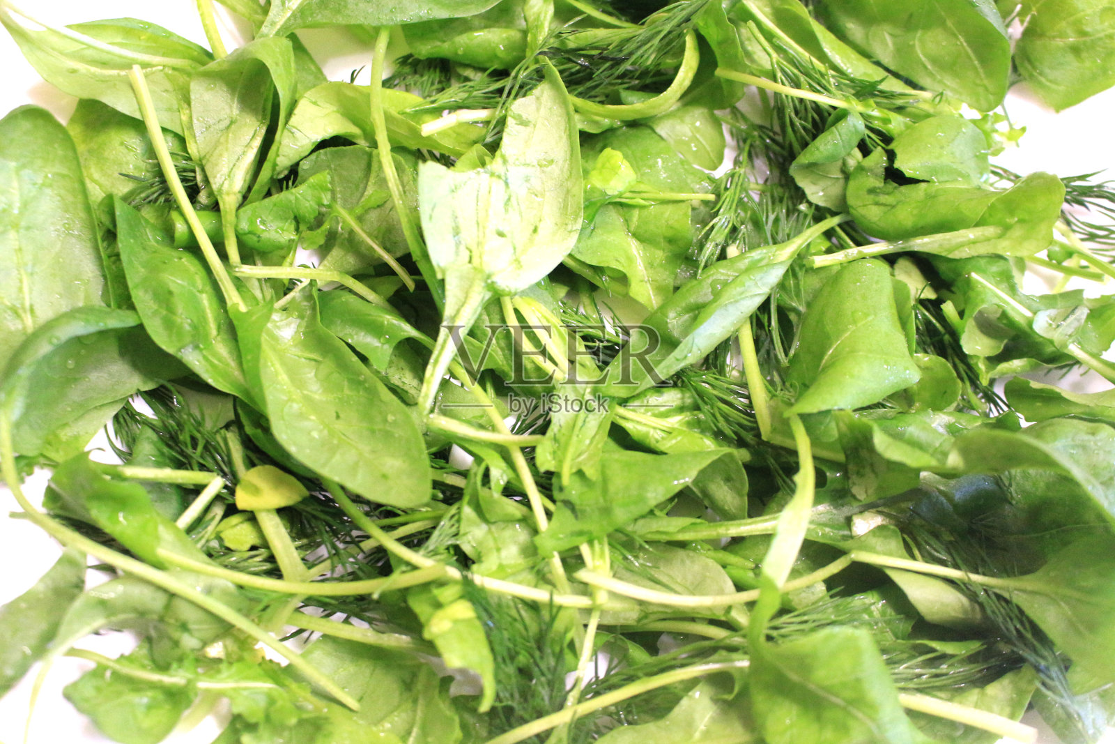 以生素食为背景。蔬菜沙拉，芝麻菜，莳萝，菠菜，特写照片摄影图片