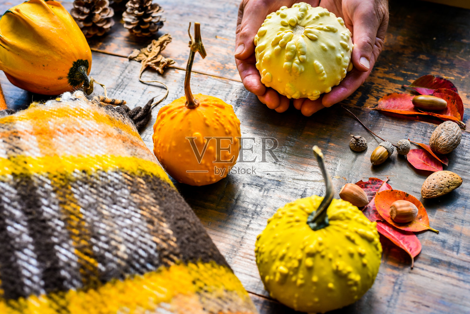 美丽多彩的南瓜在а桌上照片摄影图片