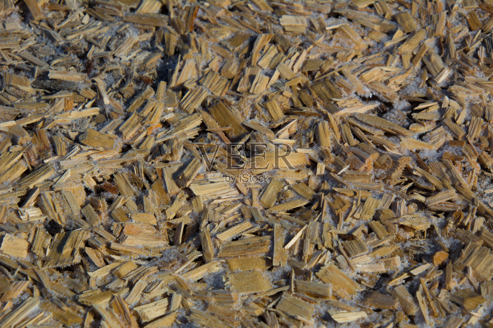 魁北克一家锯木厂附近堆放的木片照片摄影图片