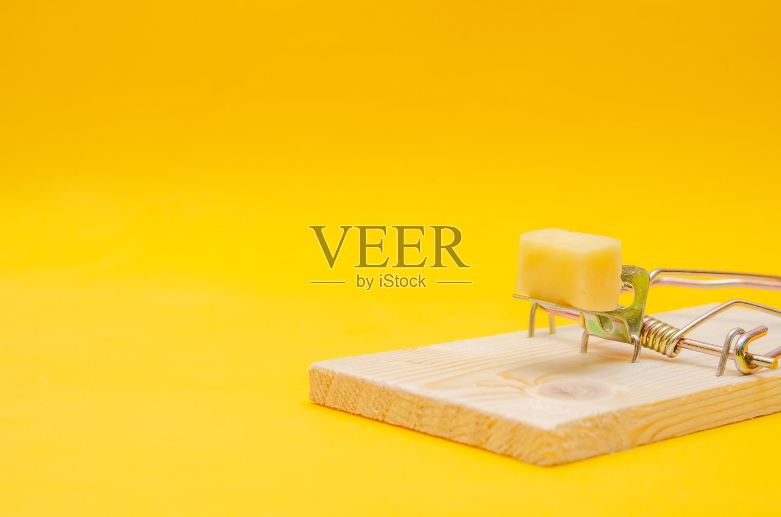 夹着奶酪的捕鼠器，黄色背景特写照片摄影图片