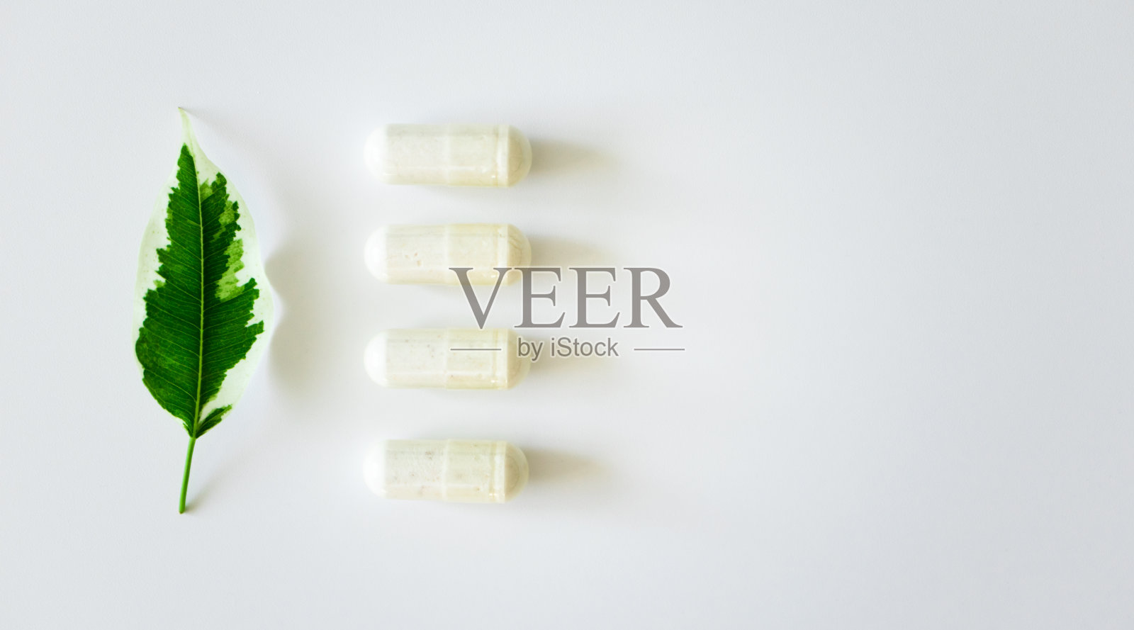 益生菌补充剂胶囊和植物叶片在白色背景和复制空间，上面。替代医学概念照片摄影图片