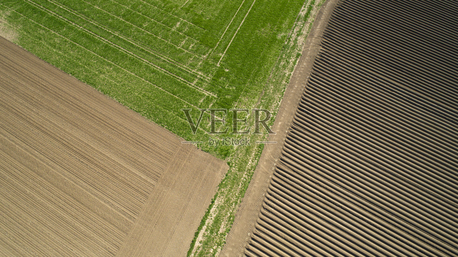农田鸟瞰图照片摄影图片
