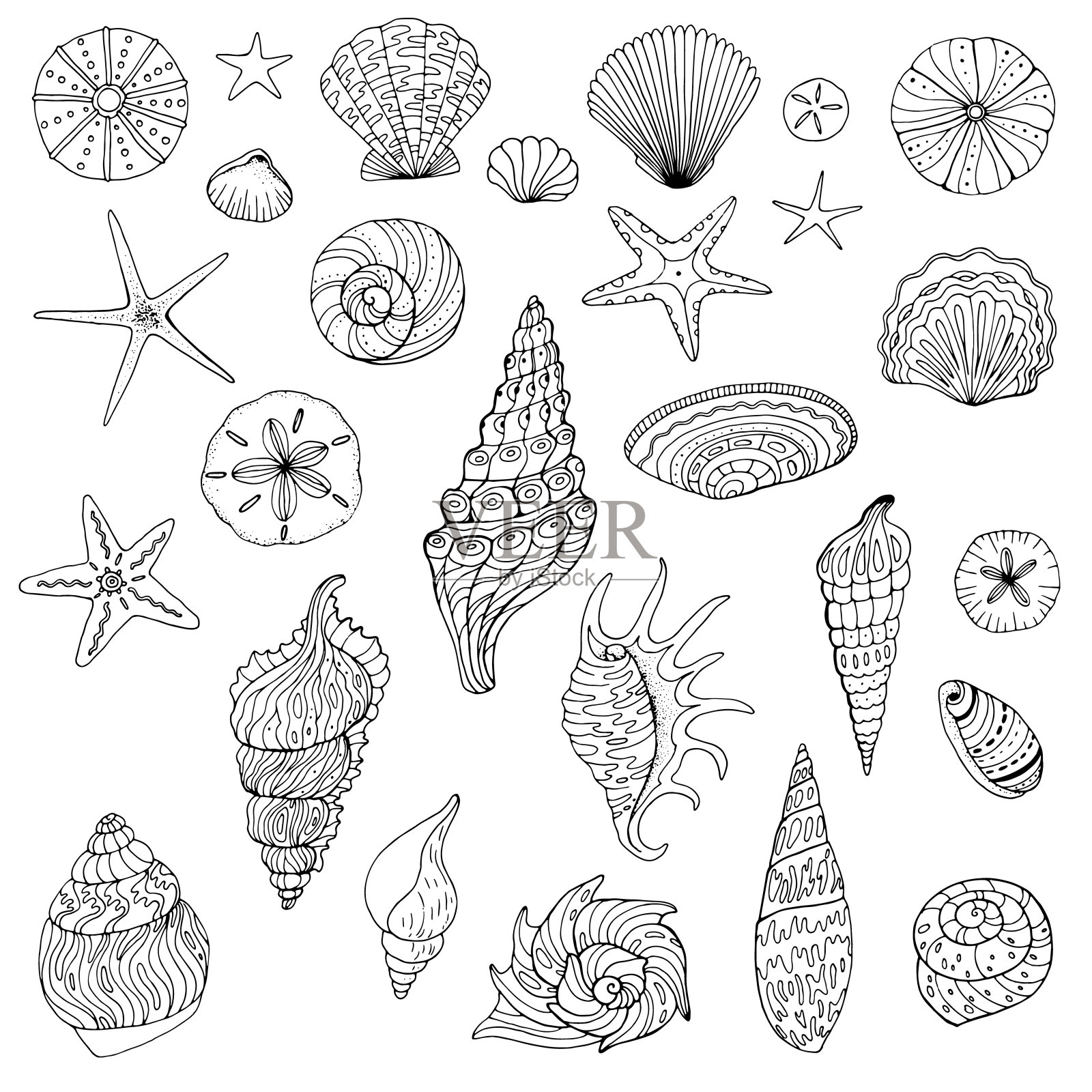 大套手绘贝壳插画图片素材