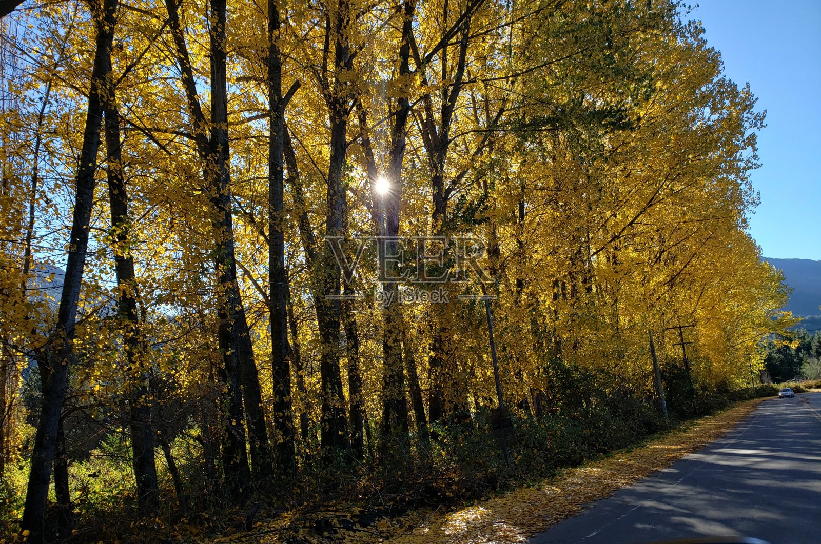 圣卡洛斯德巴里洛切照片摄影图片