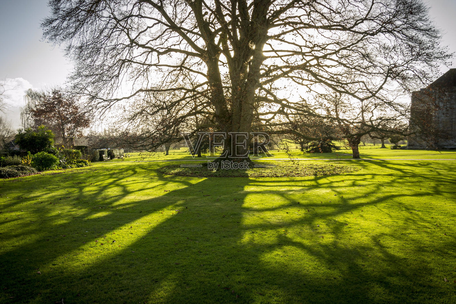 英国格洛斯特郡图克斯伯里修道院的树影照片摄影图片