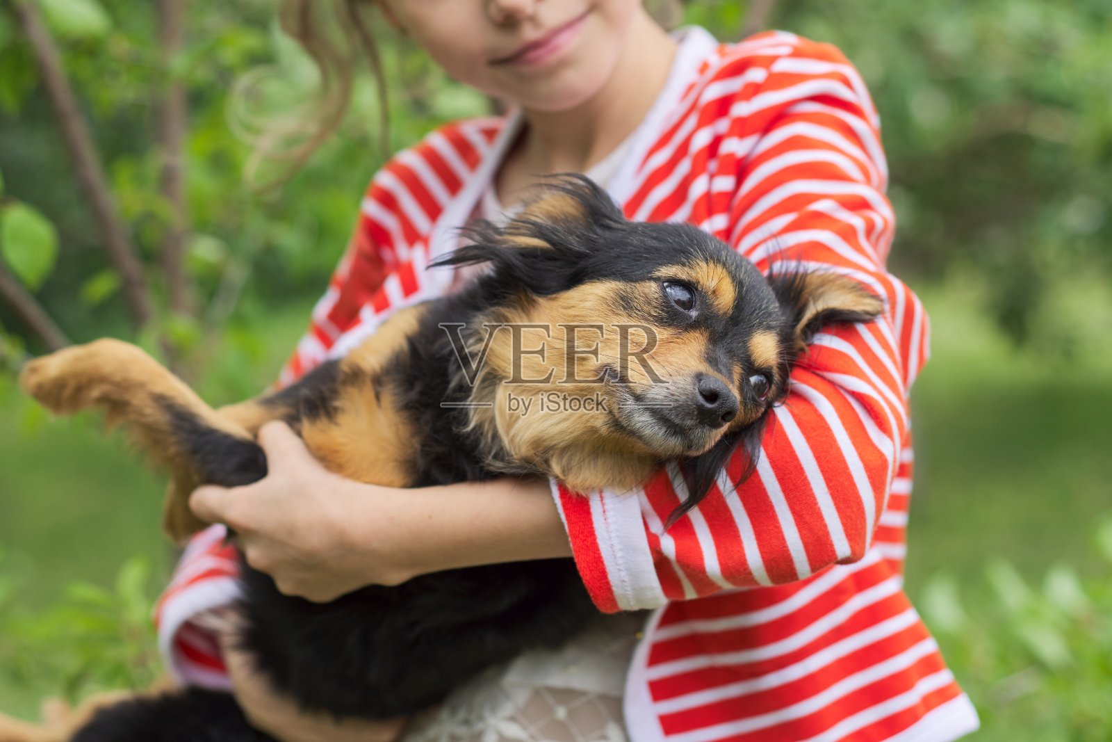 小女孩在户外拥抱小狗，小主人和宠物之间的友谊和爱。照片摄影图片