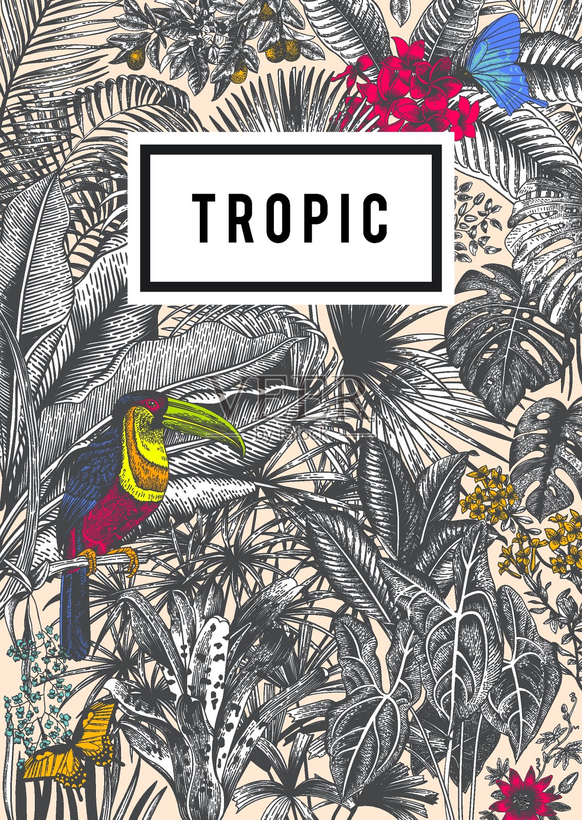 向量牌葡萄酒。插画图片素材