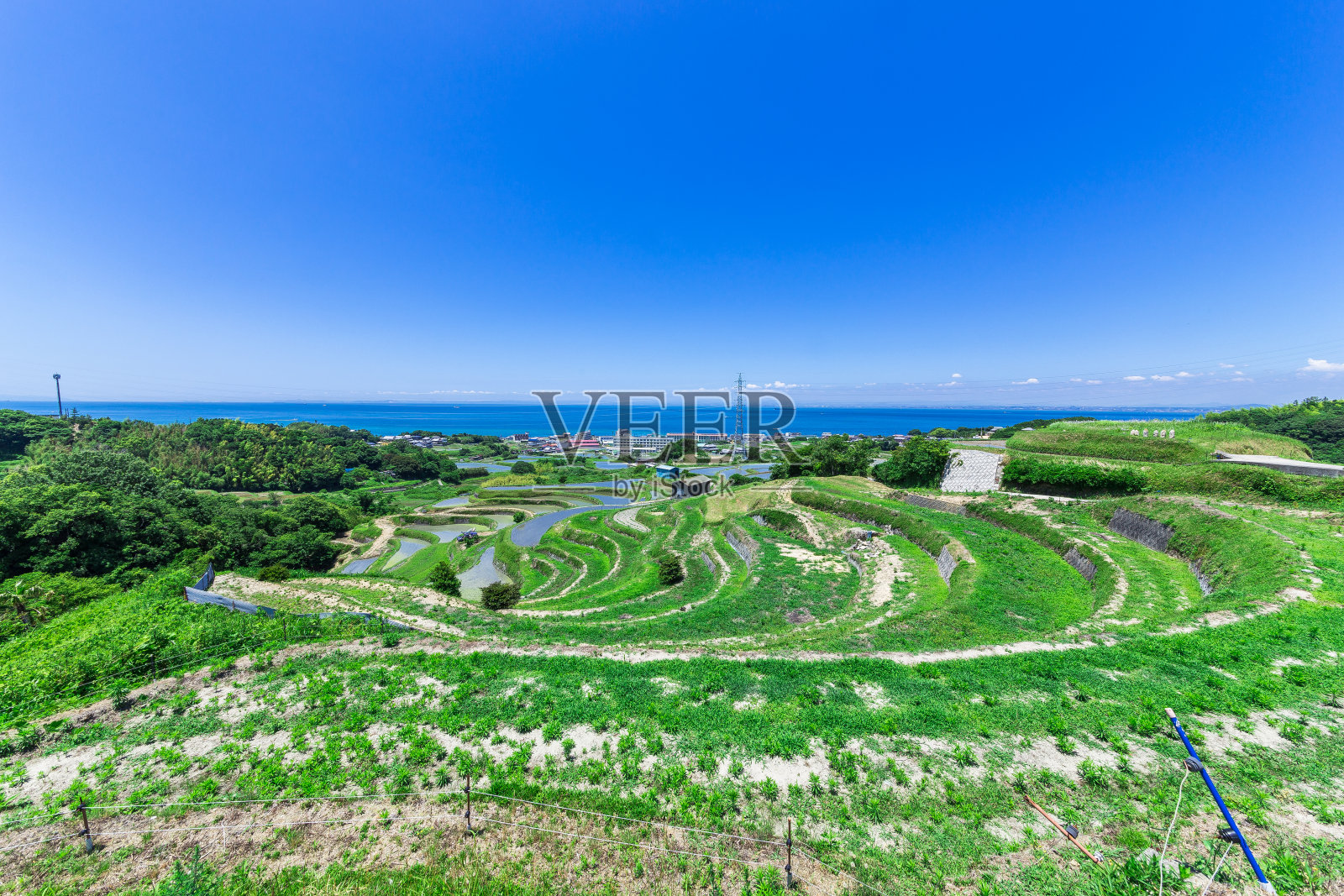 初夏的梯田照片摄影图片