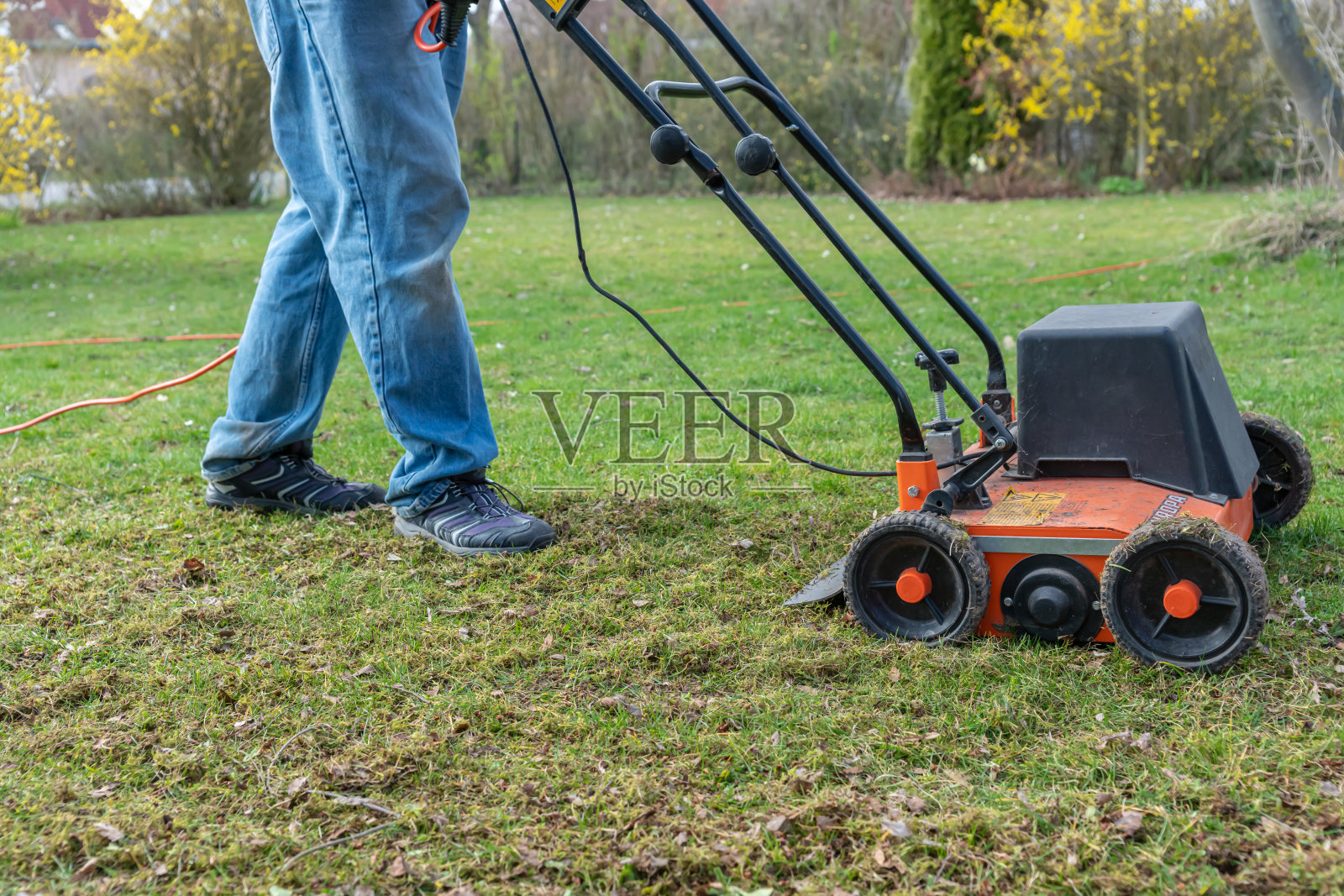 草坪撒切尔的行动照片摄影图片