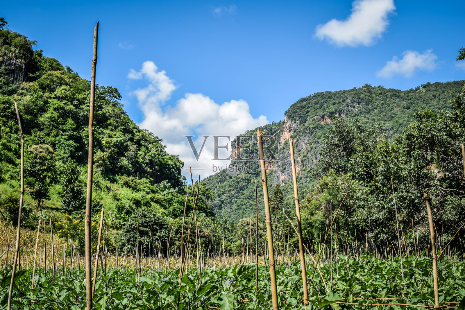 缅甸的茵莱湖和乡村照片摄影图片