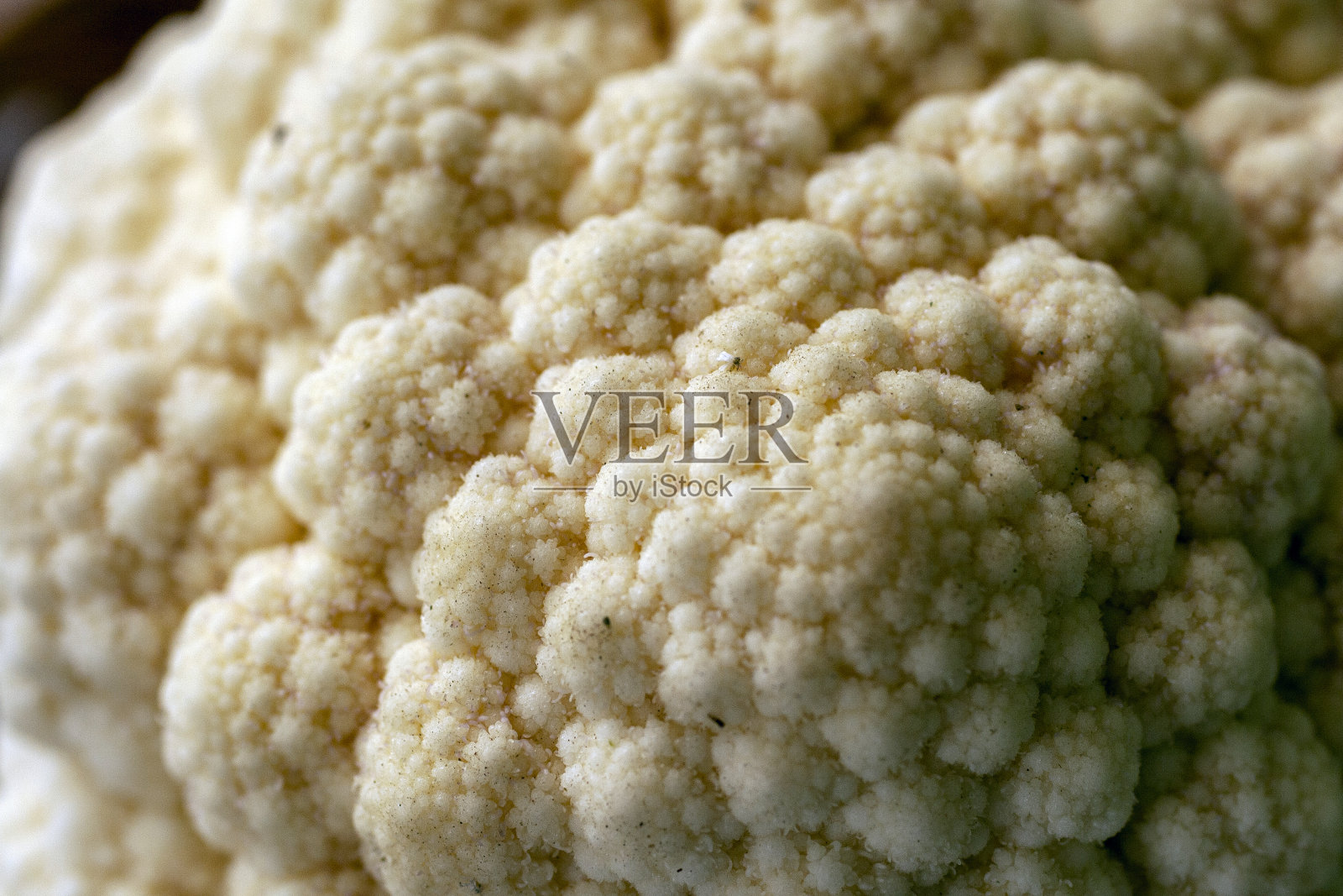 一个菜花的特写镜头照片摄影图片