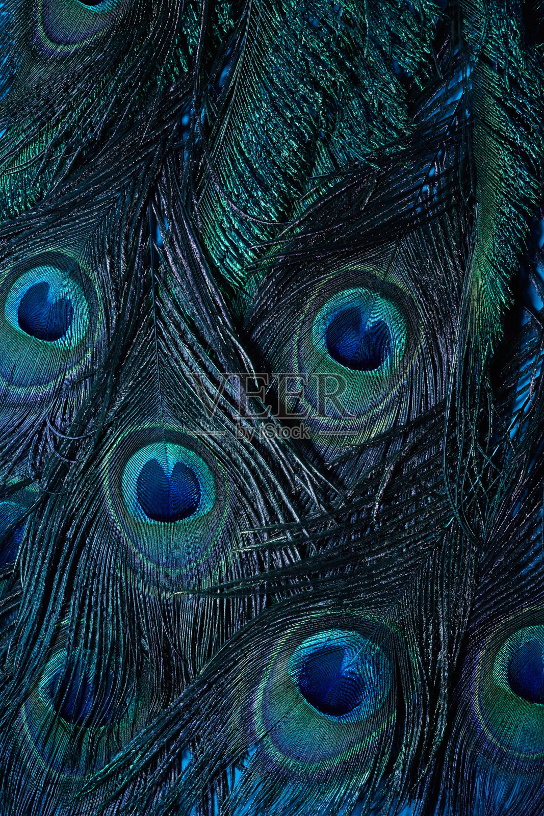 复古孔雀羽毛背景。抽象风格的背景。古典自然的模式。羽毛的模式。奇异鸟。照片摄影图片