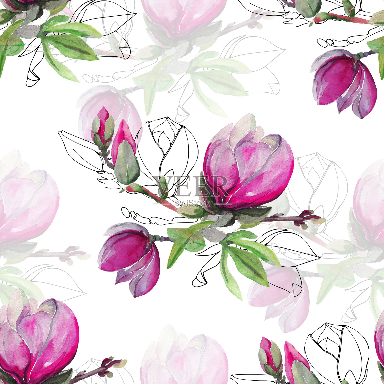 木兰枝的图案插画图片素材