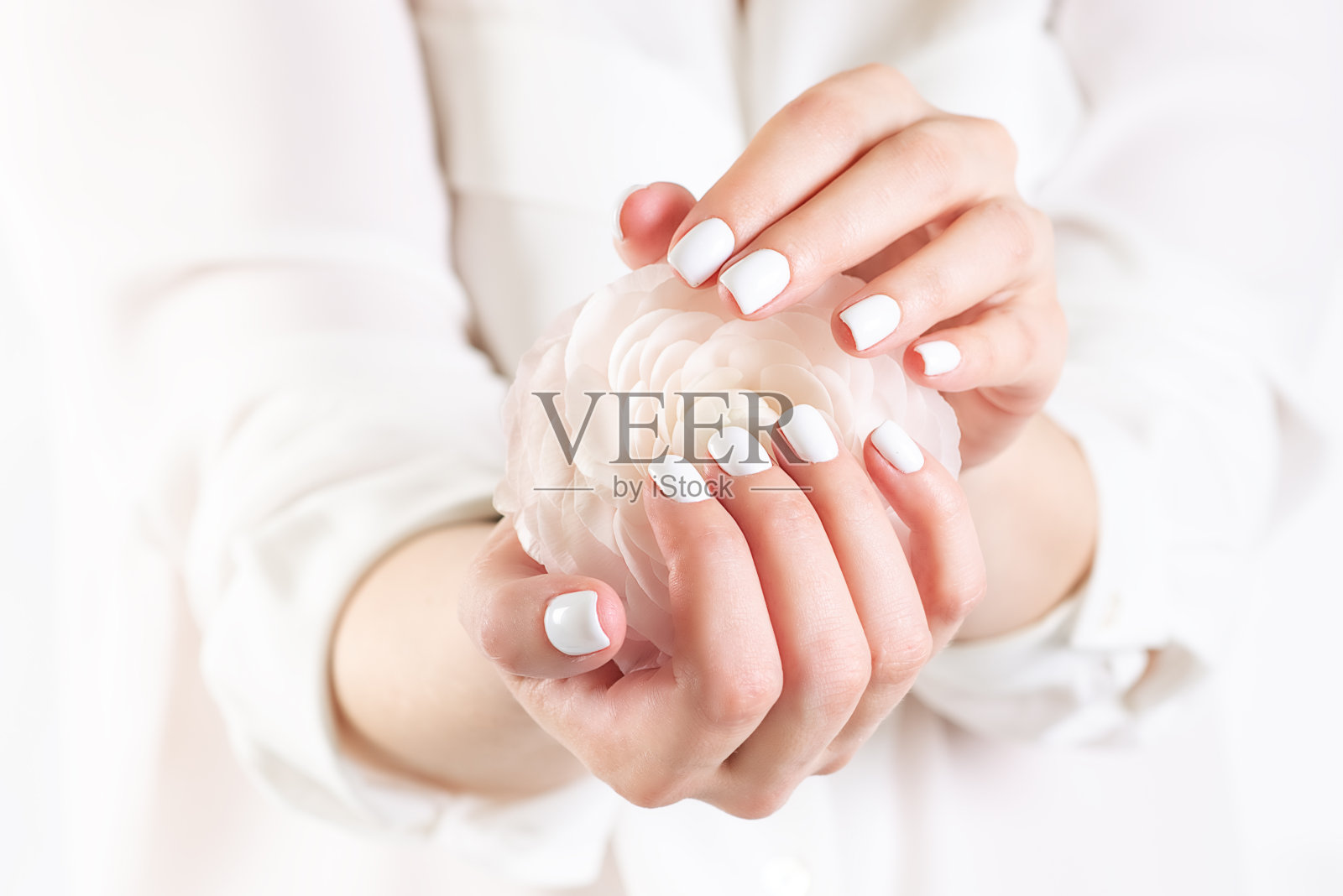 裁剪图像的女孩在牛仔裤和t恤拿着一朵红色的花在她的手与美甲在一个白色的背景照片摄影图片