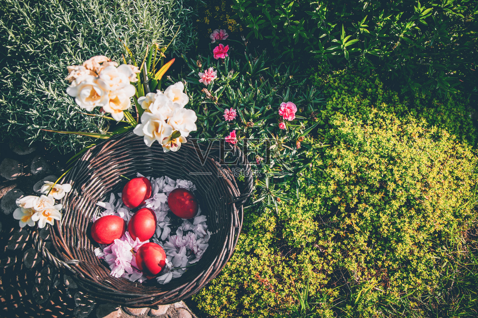 复活节彩蛋。照片摄影图片
