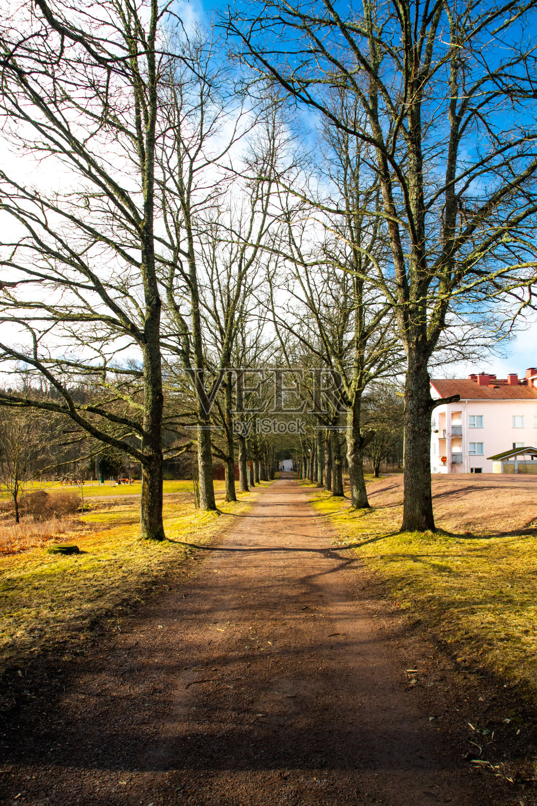 春天的公园里有一条树木光秃秃的小路。照片摄影图片