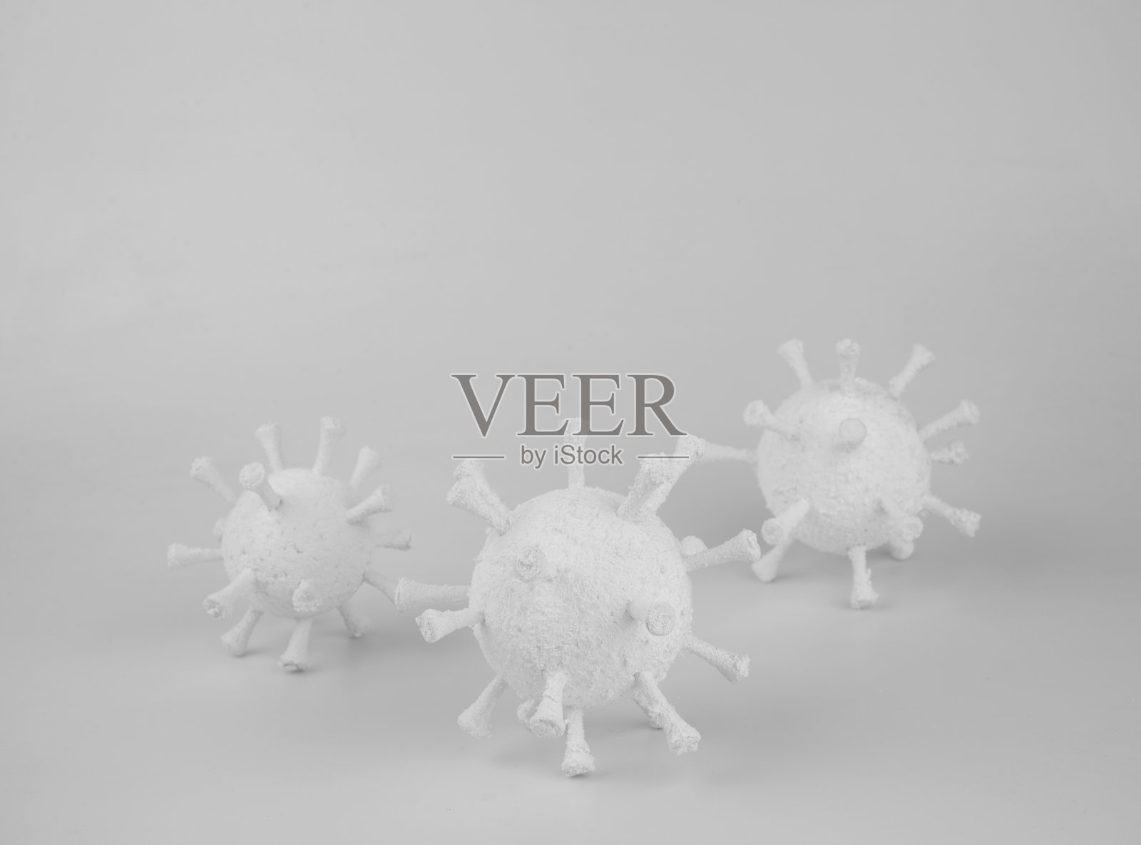 COVID-19冠状病毒模型白色柔情。照片摄影图片